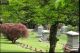 River View Cemetery